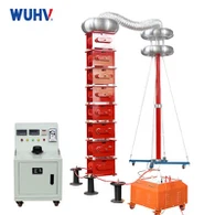 گونج ٹیسٹ سسٹم